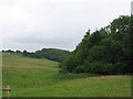 ST6562 : Wick Farm looking towards Common Wood by HelenK