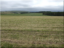  : View south towards Doddington Moor by Jonathan Billinger