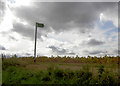 SE4809 : Footpath through the potato field by Steve  Fareham