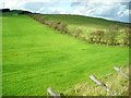 NY0974 : Fields Near Kirkhill by Iain Thompson