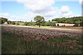 SO6657 : Fields near New House Farm by Bob Embleton