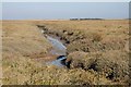 TF7344 : Thornham Saltmarsh by Hugh Venables