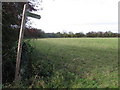 ST6031 : Public footpath towards Alford by HelenK