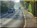 SU7674 : Butts Hill Road, Woodley by Andrew Smith