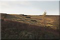 SE6792 : Mown and baled heather - Harland Moor by Colin Grice