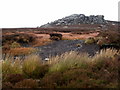 SE0759 : Colourful Moorland Vegetation and Simon's Seat by Andy Beecroft