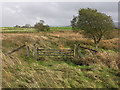 SN7065 : Old railway access crossing by Nigel Brown