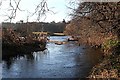 NJ6862 : Backwater of the River Deveron by Anne Burgess