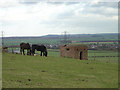 SK5230 : Pillbox above Gotham (1) by Alan Murray-Rust