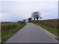 TM3665 : Kelsale Road, Kelsale by Geographer