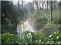 SO7030 : Hereford & Gloucester Canal at Boyce Court by Trevor Rickard