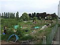 SO8453 : Allotments on Bromwich Road by John M