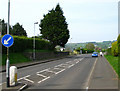  : Middle Road, Islandmagee by Rossographer