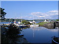 NR7894 : Crinan Canal basin by E Gammie