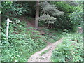 SK1985 : Ladybower Reservoir - Footpath to New Barn by Alan Heardman