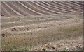 NY0974 : Hay Field by Colin Kinnear