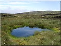 NY3033 : Small Tarn Miller Moss by Michael Graham