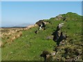 NS4480 : Boulders on the northern side of the Lang Dyke by Lairich Rig