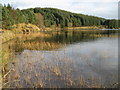  : Loch Kennard in November by Willie Milne