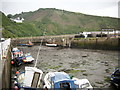 NT9561 : The ancient harbour at Burnmouth by James Denham