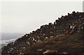 NC1518 : Wall on Bealach Mor, Suilven by David Brown