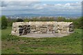 NS6158 : Cathkin Braes Country Park - the viewpoint by Lairich Rig