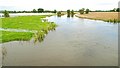 J1659 : Floods near Moira (1) by Albert Bridge