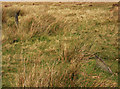 SS7643 : Stone Setting near Brendon Two Gates by Guy Wareham