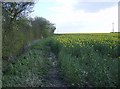 TM4083 : Footpath near Shingle Hall by Graham Horn