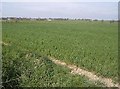 TM3685 : Farmland north of Highfield Farm by Graham Horn