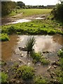 SX8574 : Puddle near the Teign by Derek Harper