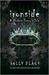 Ironside (The Modern Faerie Tales, #3) by Holly Black