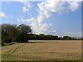  : Stubble and hedges near the road to Clyffe Pypard by Brian Robert Marshall