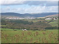  : Upland grazing with valley views towards Maesteg by Andrew Hill