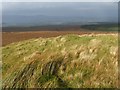 NS4478 : Top of Meikle White Hill - looking north by Lairich Rig