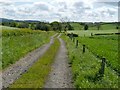 NS3776 : Farm track - looking south-east by Lairich Rig