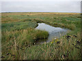 TF7344 : Thornham Saltmarsh by Hugh Venables