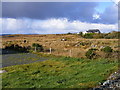 G7494 : Cattle on rough grazing, Tully More Townland by Mac McCarron