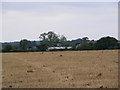 TM3764 : Vale Farm, Kelsale cum Carlton by Geographer