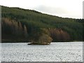  : Natural small island on Loch Kennard by Rob Burke