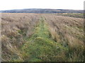 NS4278 : Remains of boundary wall by Lairich Rig