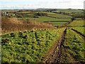 SX7666 : Bridleway near Tidwell by Derek Harper