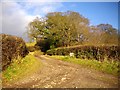 SO7334 : The track to Hill Farm by Bob Embleton