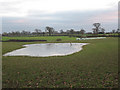 SJ7462 : Frozen pond off Cooksmere Lane by Stephen Craven