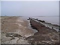 NX9255 : Rotted staithe at Mersehead by Gordon Brown