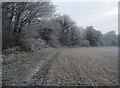 SU6754 : Frosty Trees by Mr Ignavy