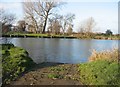 TL3671 : Slipway into Great Ouse by Mr Ignavy