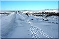 NZ6101 : Disused Railway, Bloworth Crossing by Mick Garratt