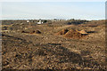 SS8576 : Vegetation heaps in duneland to the north of Traeth yr Afon by eswales