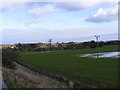 TM3155 : Waterlogged farmland, Wickham Market by Geographer